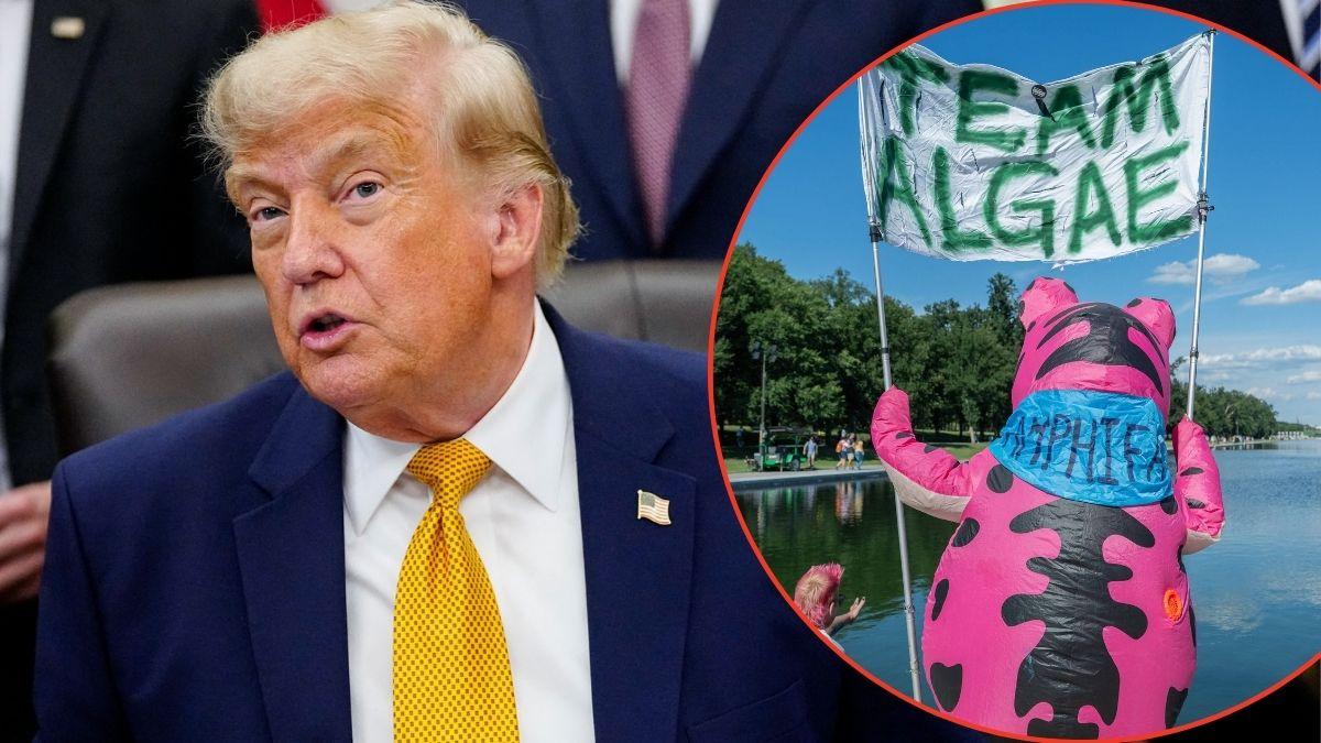 Donald Trump spoke out on the algae in the Lincoln Memorial Reflecting Pool.