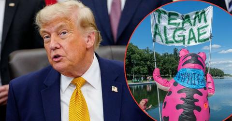 Donald Trump spoke out on the algae in the Lincoln Memorial Reflecting Pool.