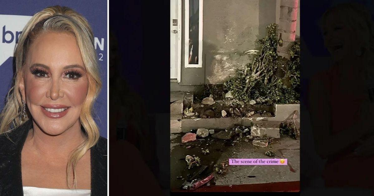 RHOC' Star Shannon Beador Offers to Pay for Property Damage After DUI