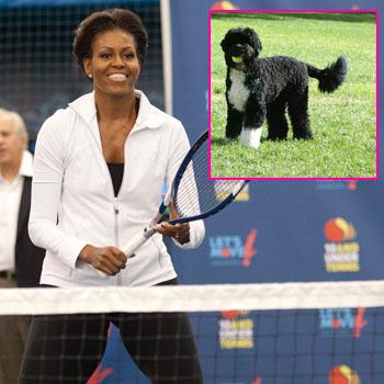 //bo dog diet michelle barack obama