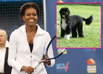 //bo dog diet michelle barack obama