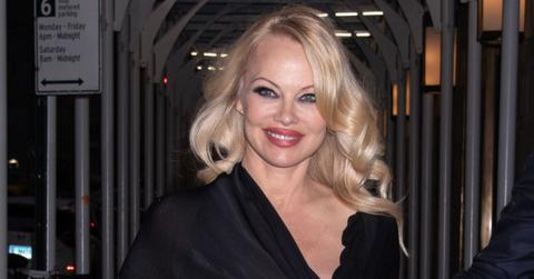 Pamela Anderson Finds Crack Pipe In Christmas Tree, Ends Marriage To Rick Salomon