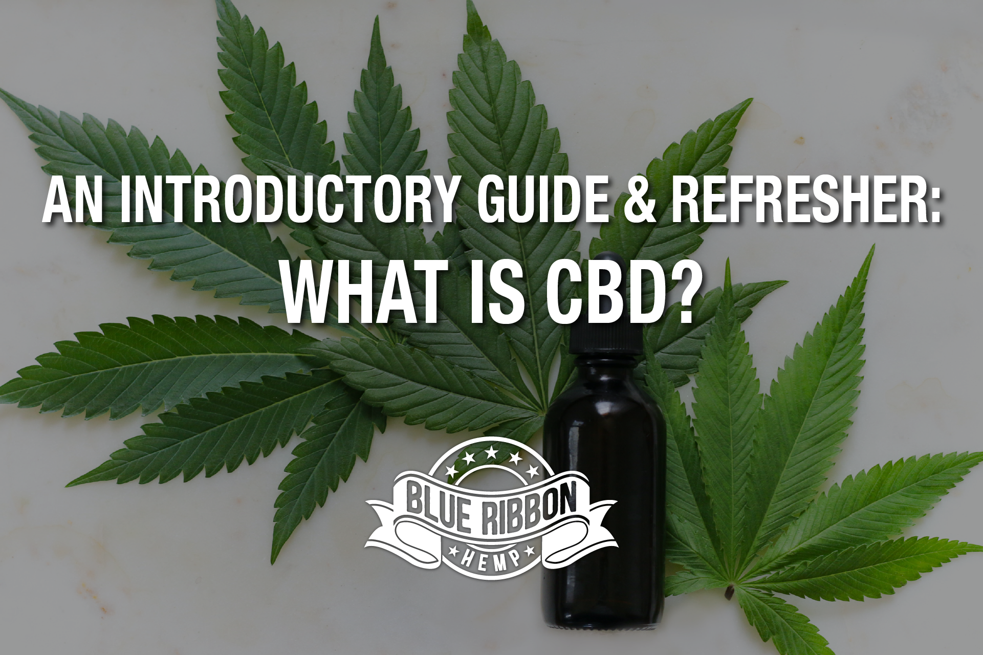 An Introductory Guide and Refresher: What Is CBD?