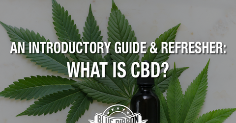 An Introductory Guide and Refresher: What Is CBD?
