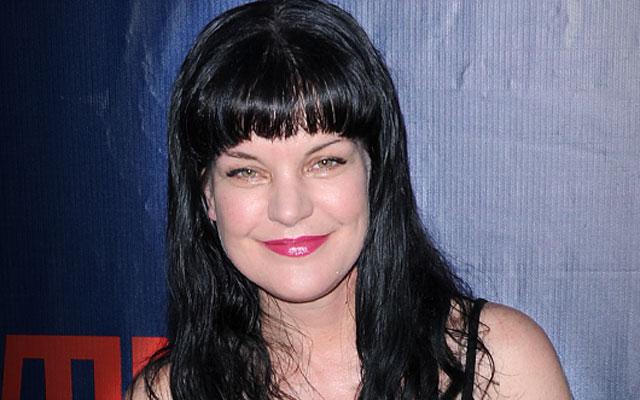 Pauley Perrette ‘NCIS' Attacked