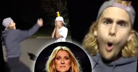 //celine dion son rene charles angelil bleached hair