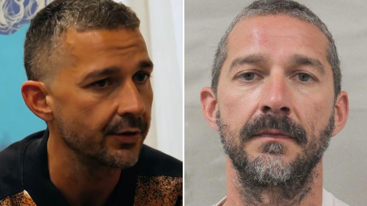 picture of Shia LaBeouf