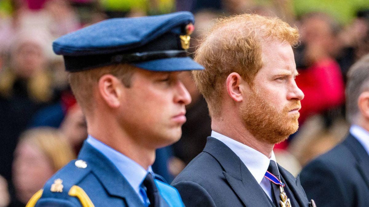 Photo of Prince William and Prince Harry 