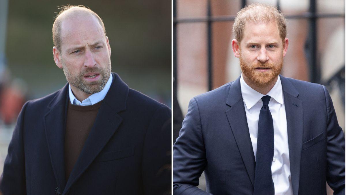 Photo of Princes William and Harry 