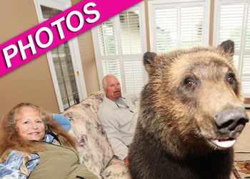 //billy bear pet landov