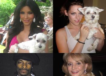 //lucky the dog celebrity photos