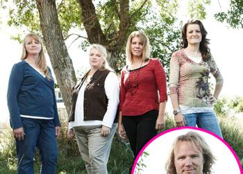 //sister wives nc kody