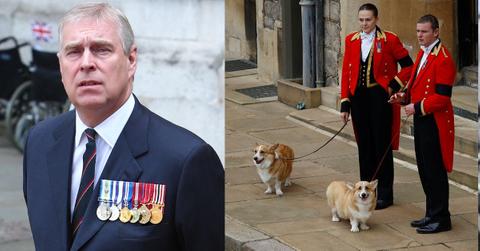Andrew Windsor has been accused of kidnapping the Queen's beloved corgis as his last connection to royalty.