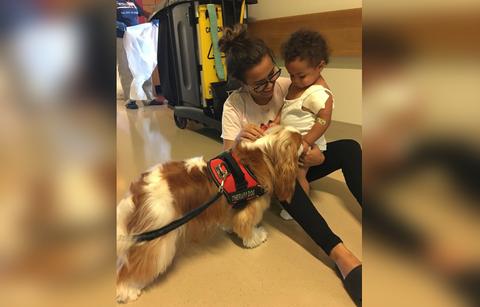 Briana Dejesus holds on to her daughter as they pet a therapy dog.