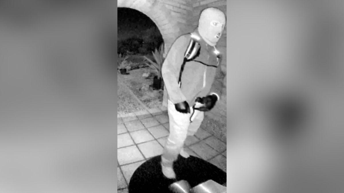 Photo of Savannah Guthrie mom suspect