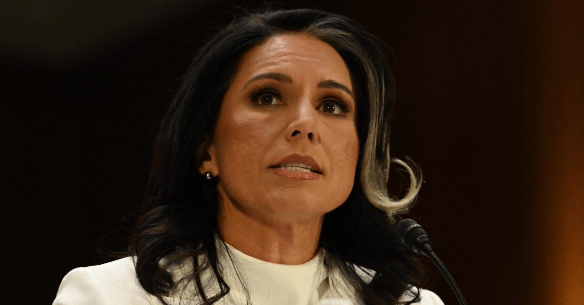 tulsi gabbard confirmed as intelligence director despite checkered past