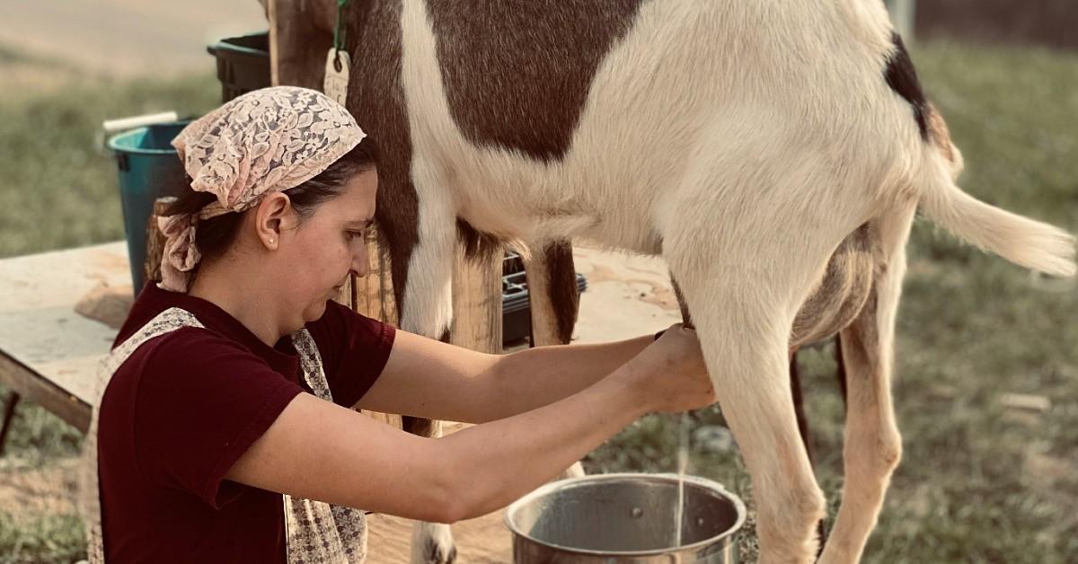 The Goop founder has built a multimillion-dollar wellness empire promoting cleanses and 'detox' products, including a goat's milk cleanse.