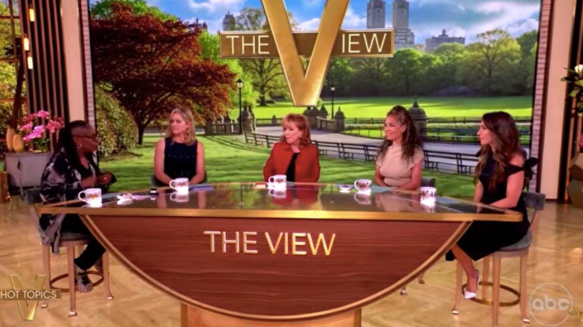 picture of The View hosts
