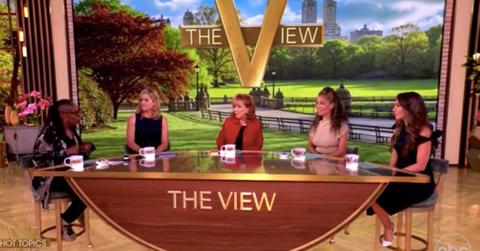 picture of The View hosts