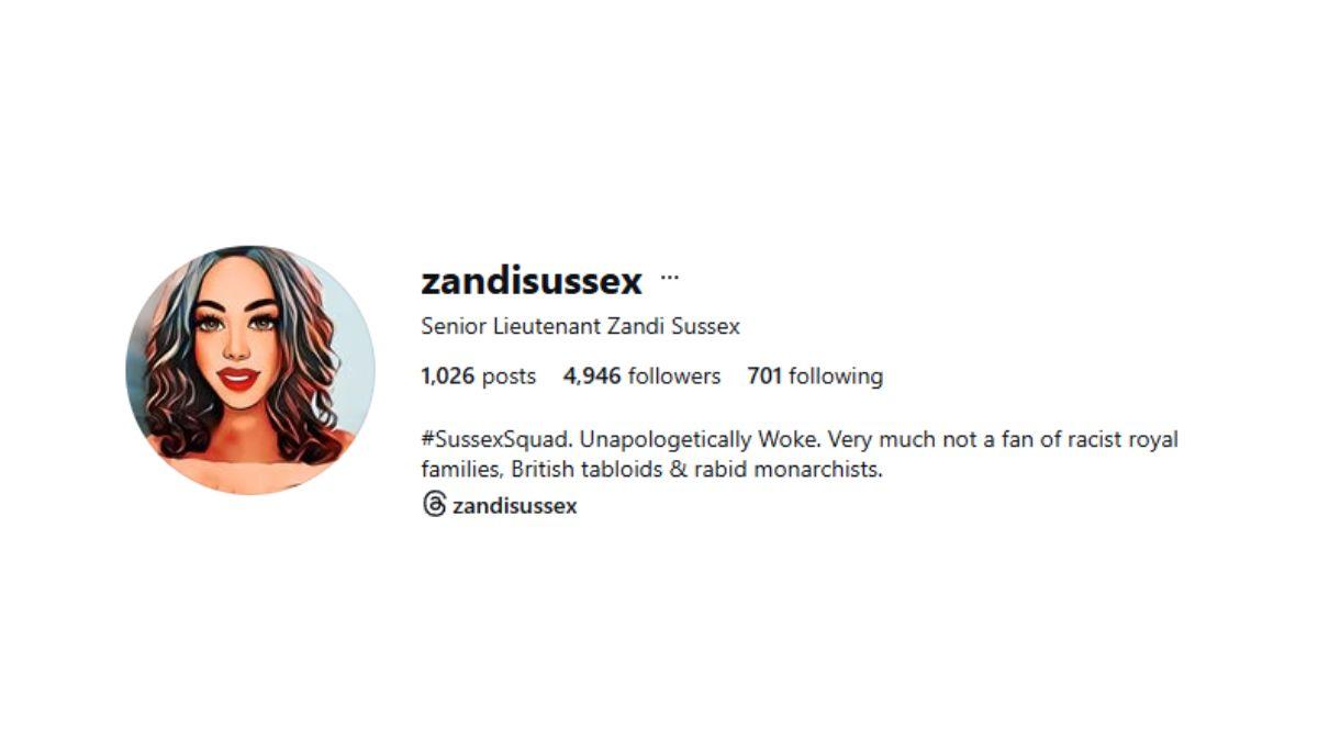 Photo of Meghan Markle supporter's IG handle