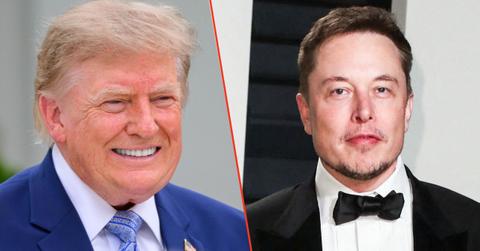 Photo of Donald Trump and Elon Musk