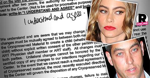 Sofia Vergara Nick Loeb Embryo