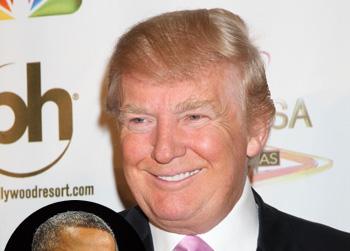 //donald trump bombshell president