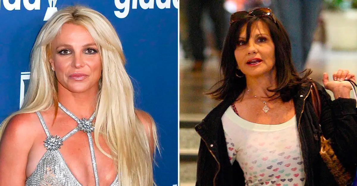 Britney Spears poses in see-through top after star reveals she 'nearly got  a boob job' following her conservatorship