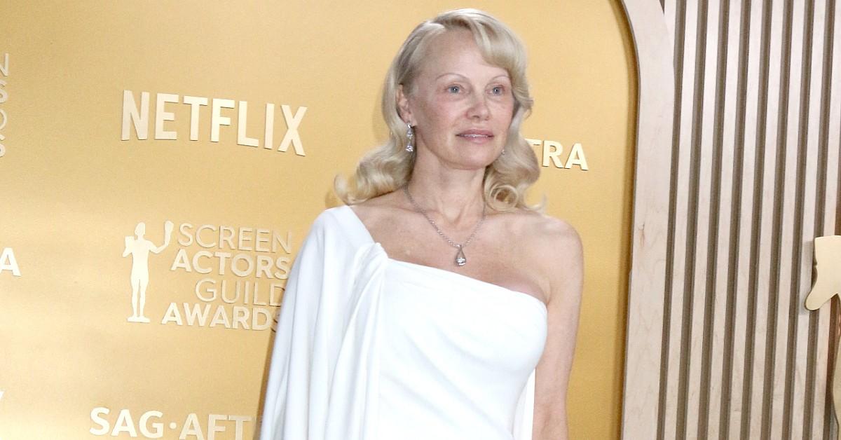 pamela anderson hates being seen symbol wild between sheets