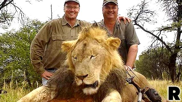 Lion Killer Walter Palmer Public Relations Firm Quits