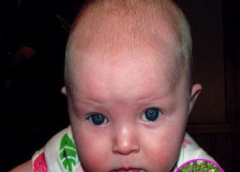 //lisa irwin cadaver dog dead body ap