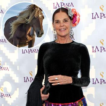 //ali macgraw defends horses splash