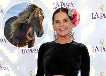 //ali macgraw defends horses splash