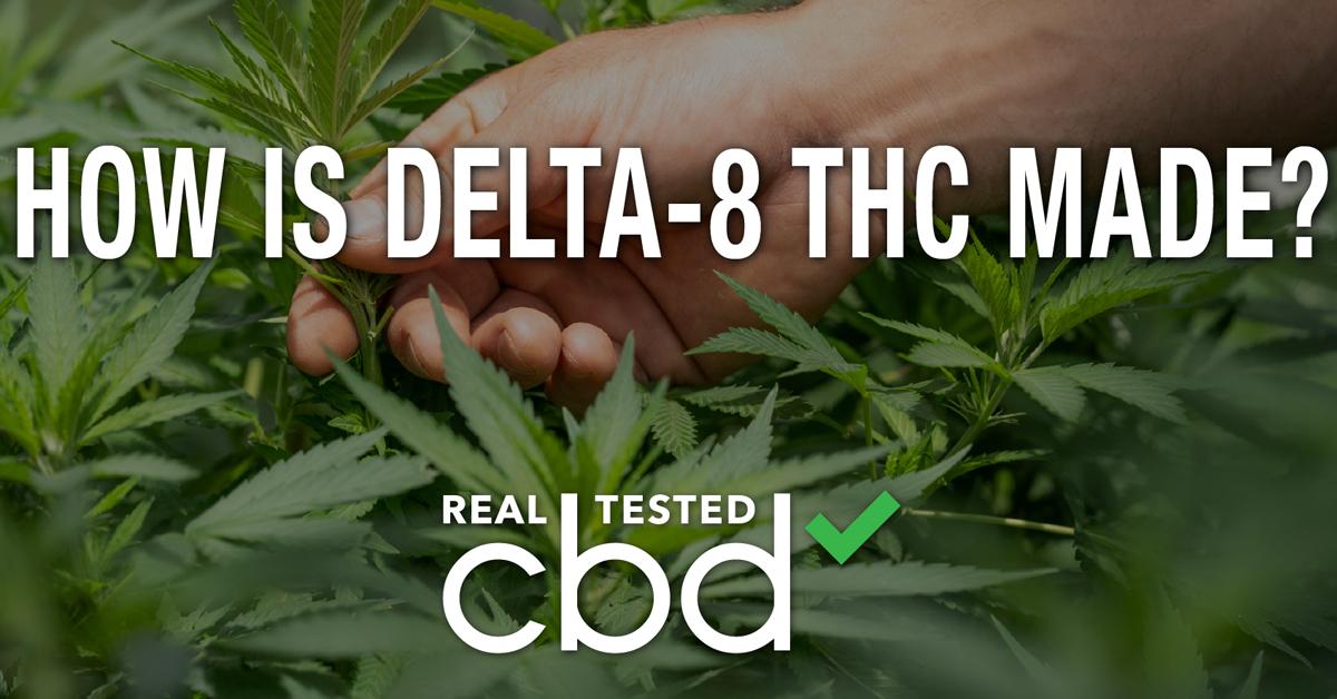 how is delta  thc made