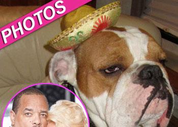 //spartacus coco ice t photos