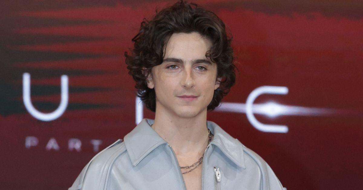 timothee chalamet distances kardashian clan career reputation fears
