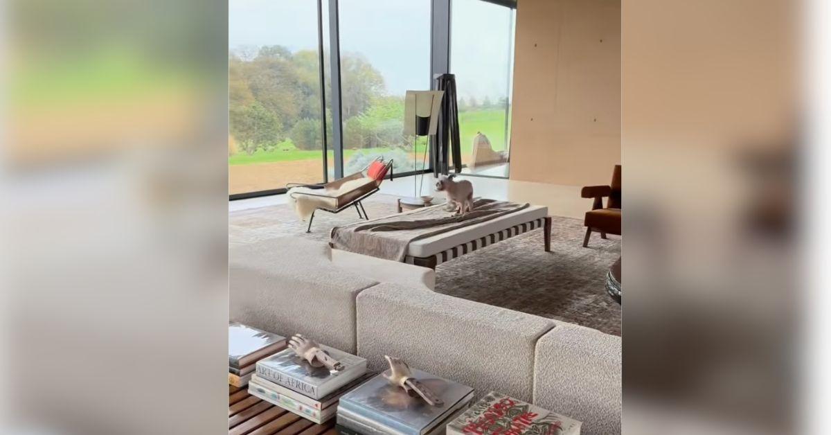 Photo of Ellen DeGeneres Home