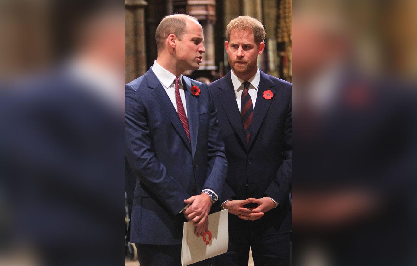 Prince William Standing With Prince Harry Both Wearing Navy Suits