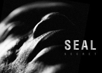 //sealsecret