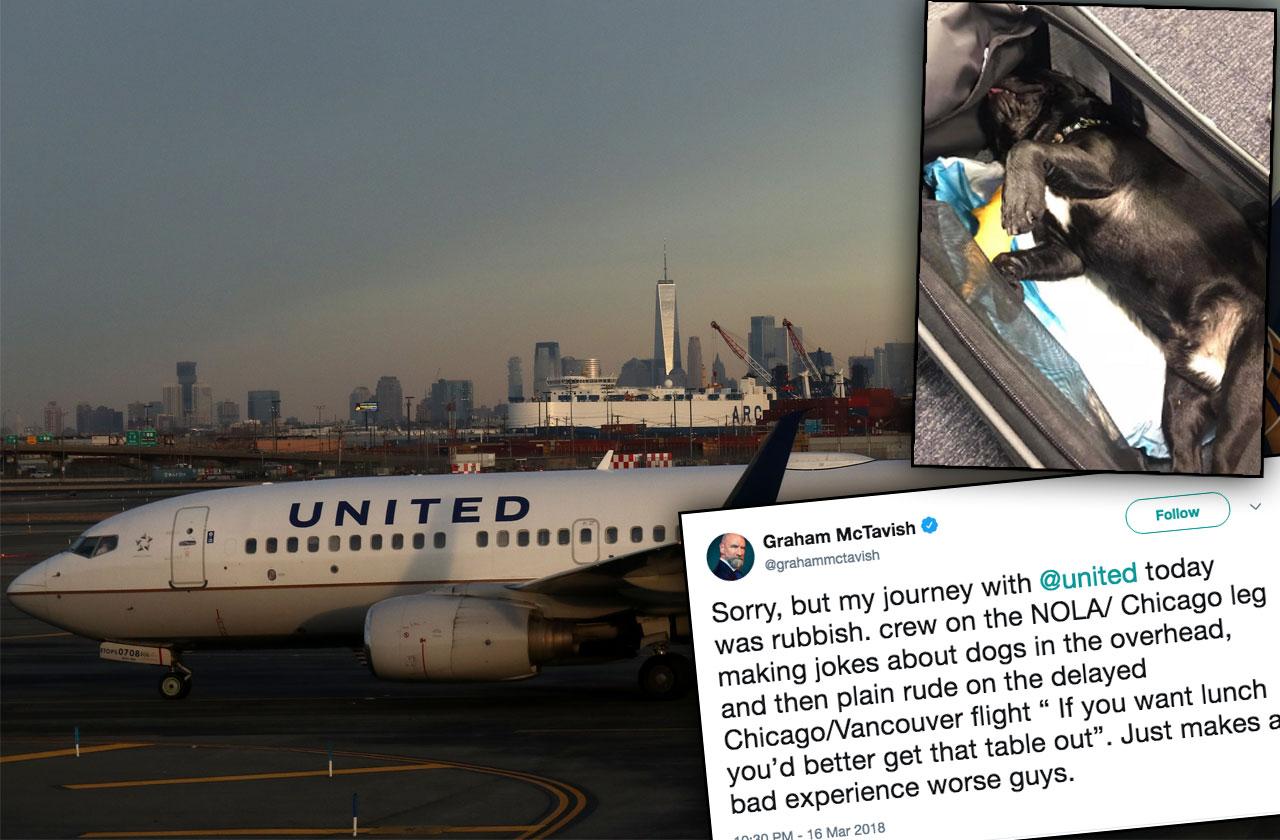 United Airlines Jokes Puppy Death