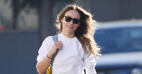 animal shelter defends olivia wilde rehoming dog