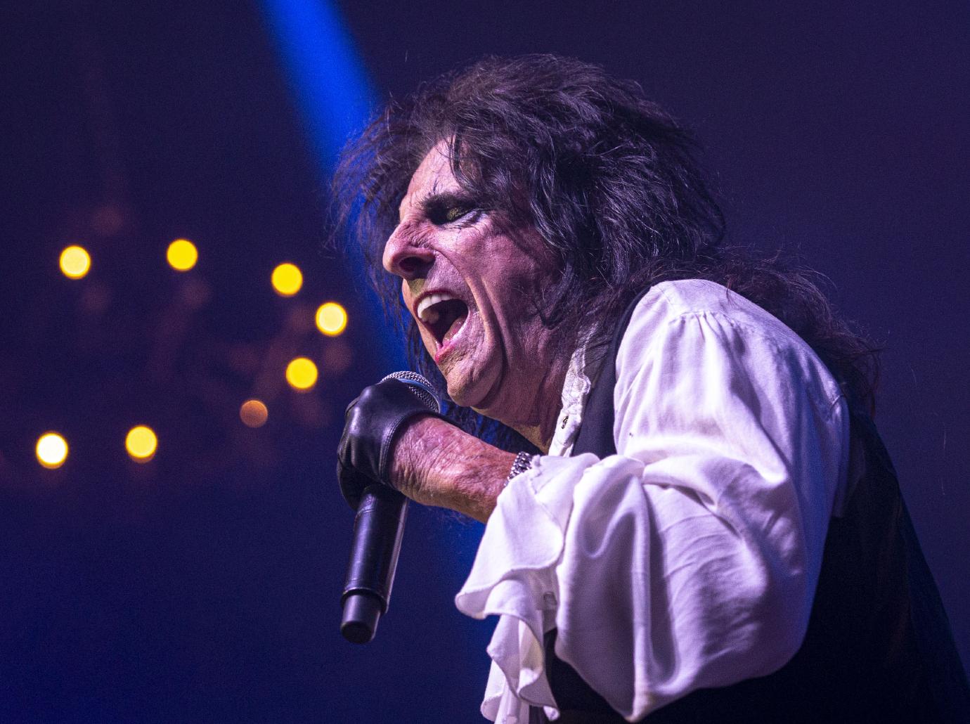 alice cooper gallery pic