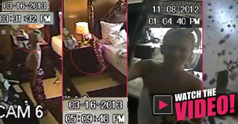 //jenna jameson crazy copy