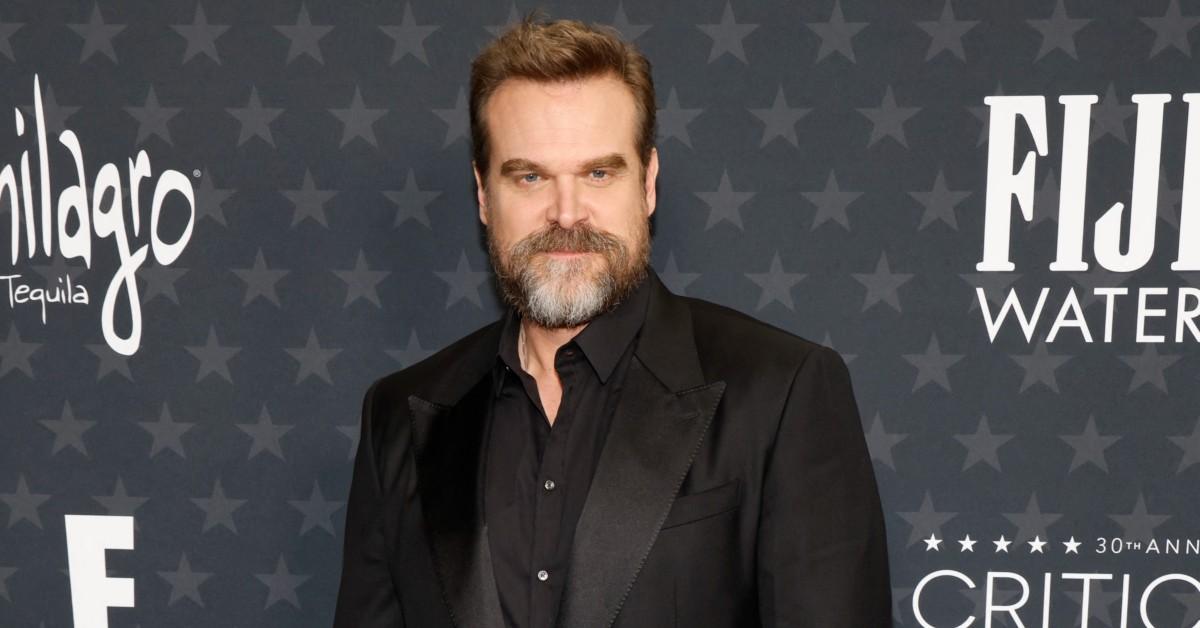 David Harbour attended Millie Bobby Brown's birthday celebrations.