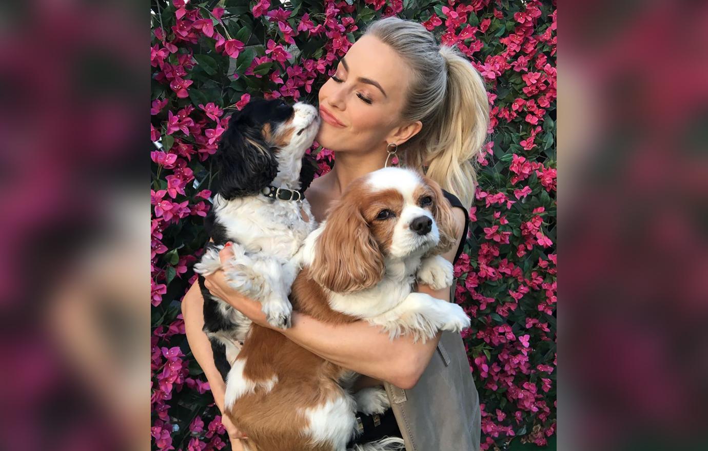 Celebrity Pet Deaths Of 2019