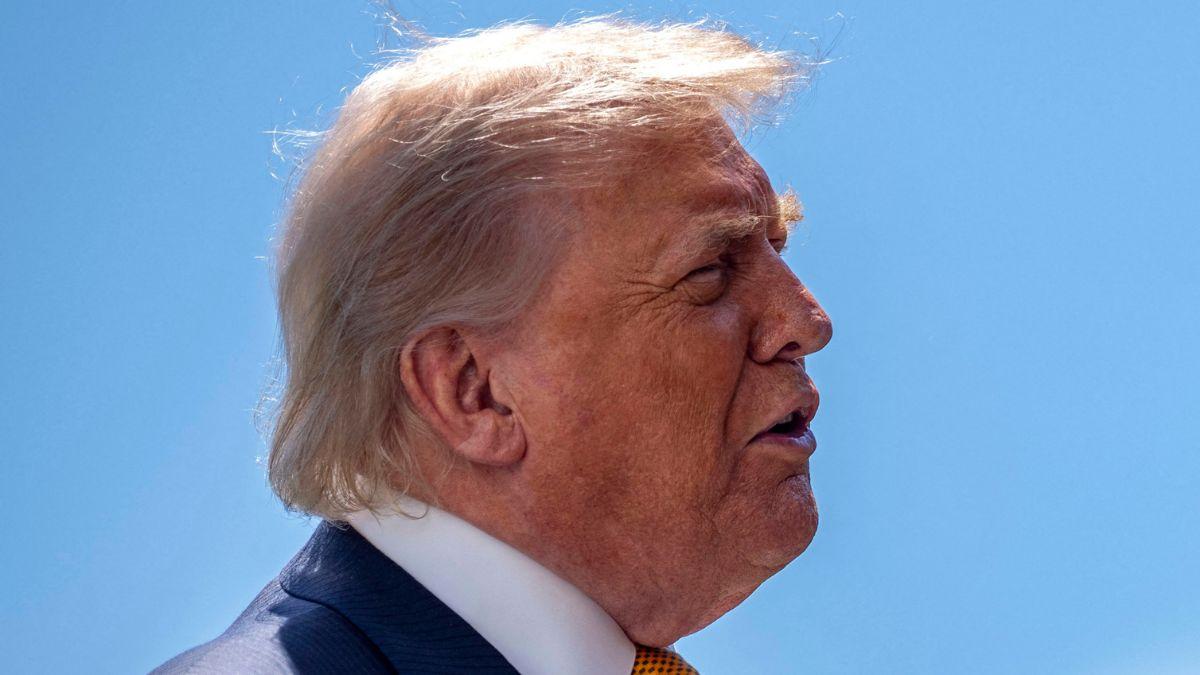 picture of Donald Trump