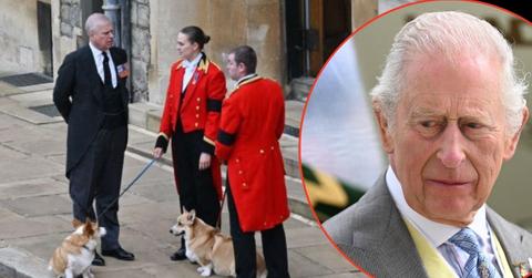 Photo of Prince Andrew and King Charles