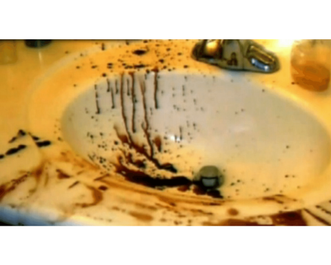 Jodi Arias' Crime Scene Photos: The Disturbing Murder Of Travis Alexander