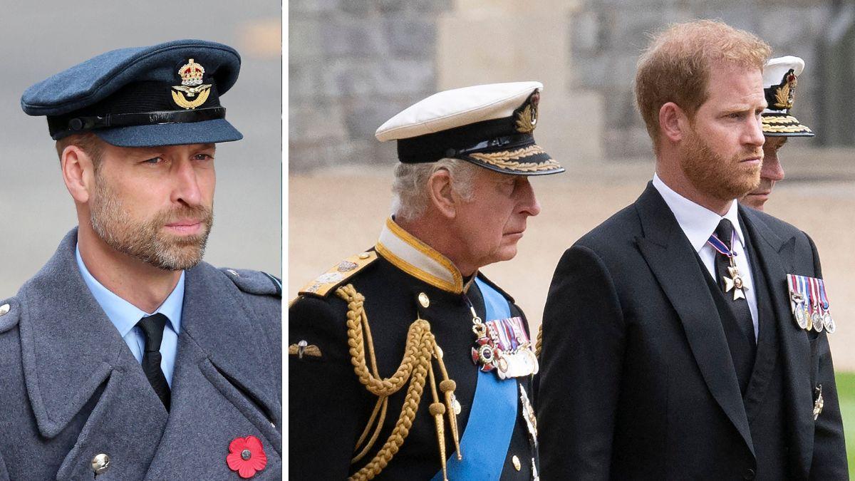 Photo of Prince William, King Charles and Prince Harry Title