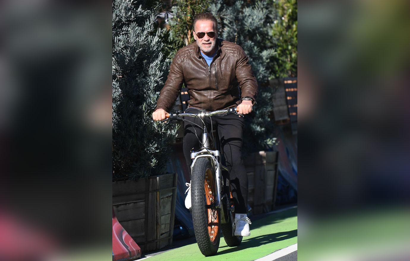 arnold schwarzenegger pals urge him to hire driver after latest car accident